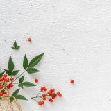 【2025/12/27～2026/1/4】冬季休業のおしらせ